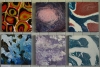 JennyPhillips_Colourscape