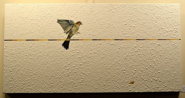 Gregg Nowell: "Watching", Mixed media on canvas, 50.1 x 100.1cm