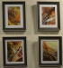 Ruth Elvery: "Sometimes a light surprises", Acrylic, Series of 4 each 23cm x 28cm